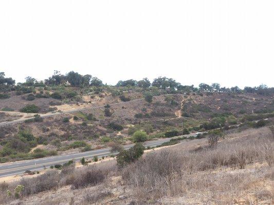 View of Balboa trails across Florida street