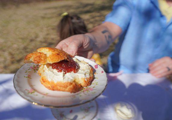 Devonshire Scones with clotted cream and jam.