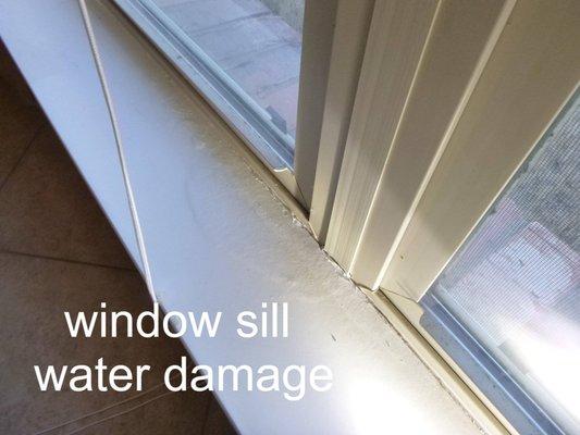 Inspecting: Water damage on window sill