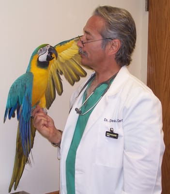 Midland Park Veterinarian | Dean J. Cerf, DVM