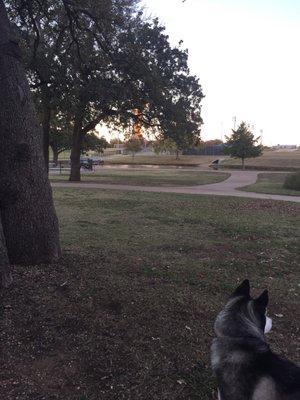 Ball park and dog parks also