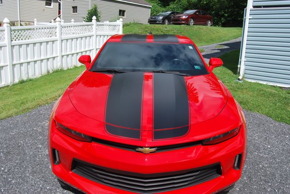 Hood Stripes and roof.