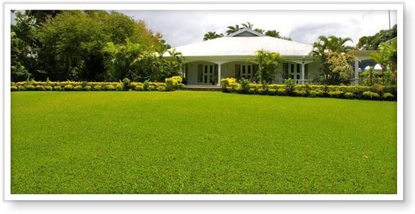 Royal Green Lawn & Ornamental