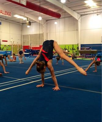 Everest Gymnastics Training Center