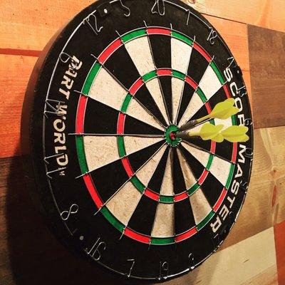 We Love Darts!