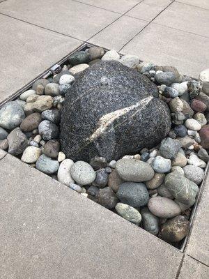 Fountain outside BCRC