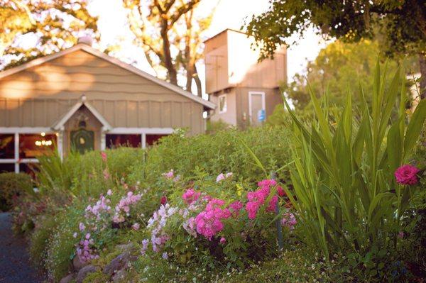 Mountain Vista Farm, flowers in the garden