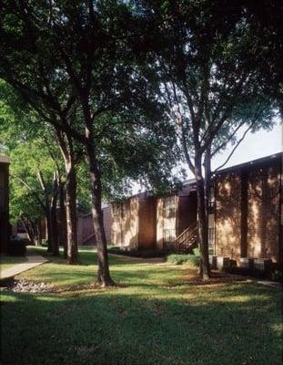 Large, mature shade trees.