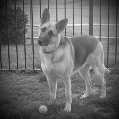 Gabby is ready to play ball