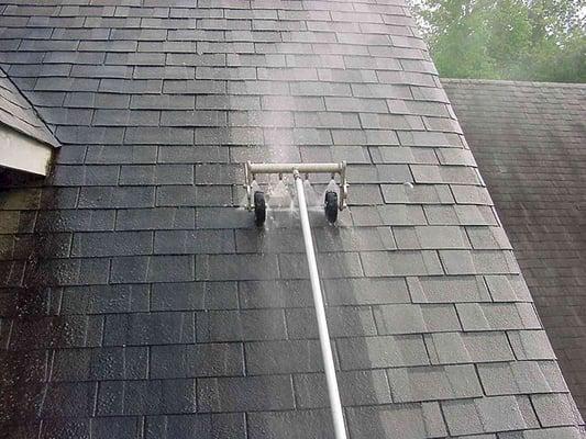 Roof Cleaning/ Rejuvenation