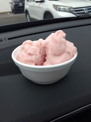 Strawberry and Kiwi Sorbet