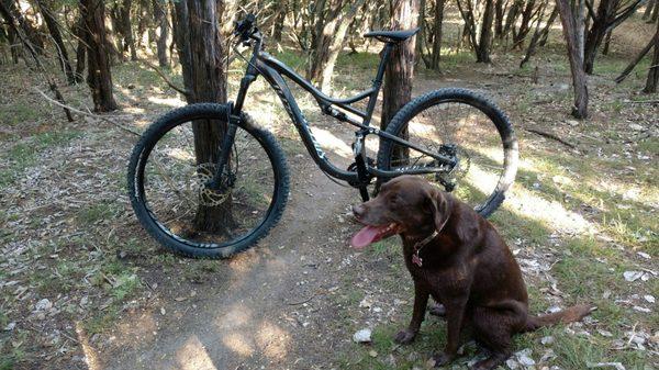 Sunday Funday with Miss Pearl and my mtn bike