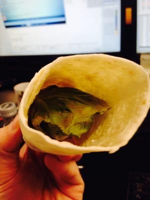 here is the back view of one of the many "wrap" style sandwiches they offer....notice it is empty, don't waste your money.