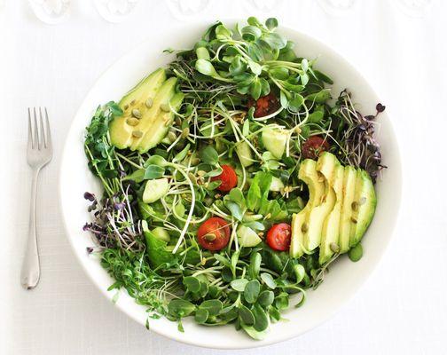 Microgreens Make Amazing Salads