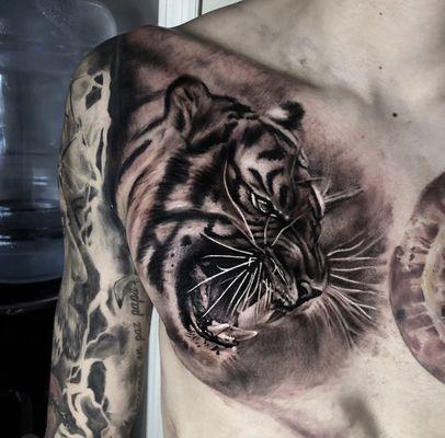 Tiger by Bror