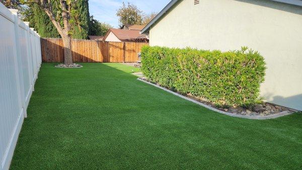 Field of Green Grass Solutions