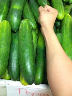 Huge cucumbers