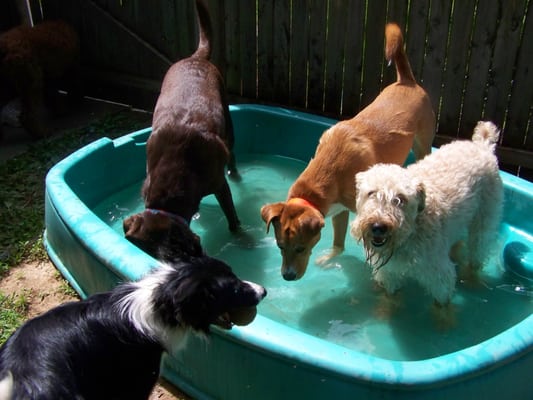 Having fun in the pool.