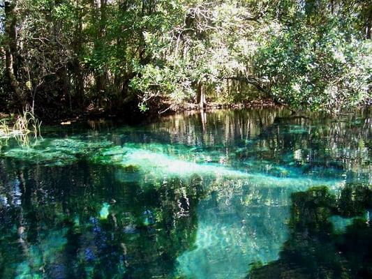 Gum Slough