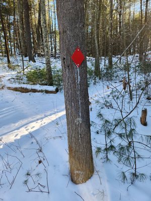 Hiking the Red Diamond trail.