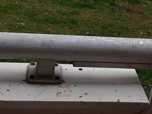 Seeds on balcony railing