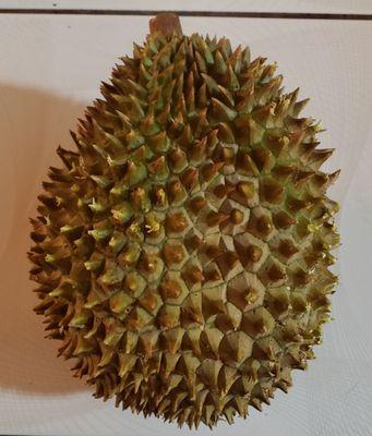 Frozen whole durian