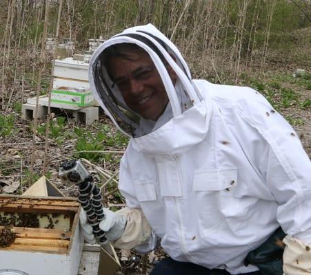 Filming a Fox TV show about ex-cons learning to raise bees.