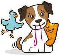 Austin Pet Sitting Services