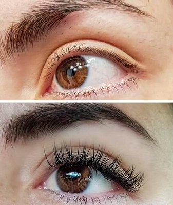 Hybrid Lashes