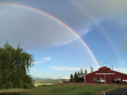 Our farm is the treasure at the end of the rainbow!