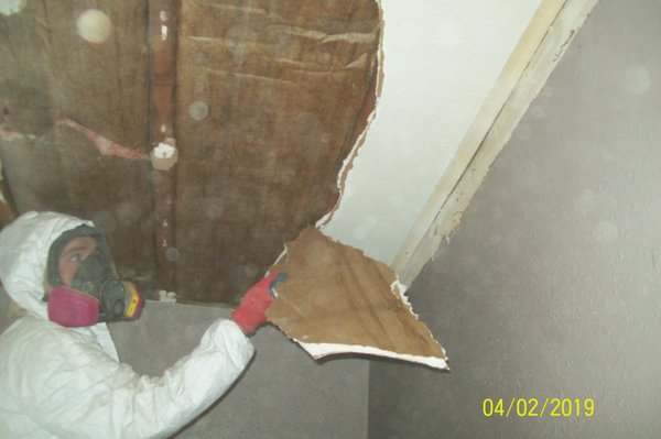 Demo of a water loss with mold.