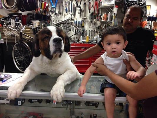 George, his huge dog and a customer's kid