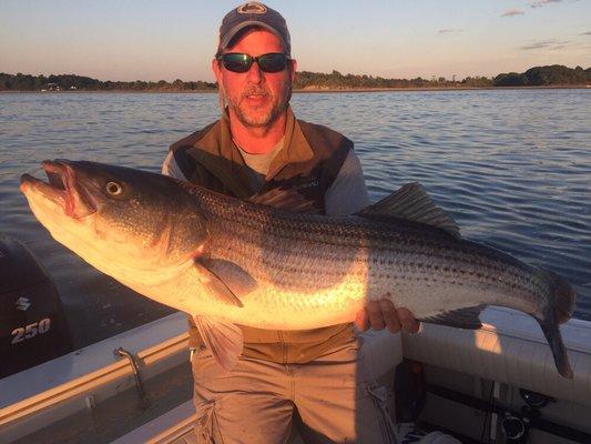 Capt. Tim with with a great fish.  Striped Bass from Boston Harbor Aug'16