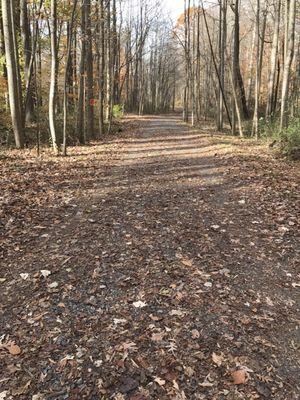 Canterbury Woods Park