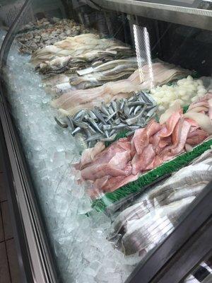 Fresh fish !!!