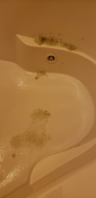 The dark stuff is what came out of the jets after I cleaned it.