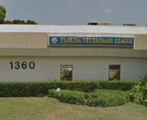 Welcome to VCA Florida Veterinary League!