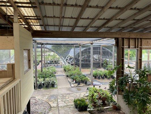 Granbury Nursery