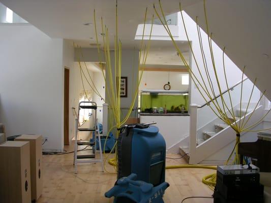 Services Offered - Water Mitigation (structure drying)