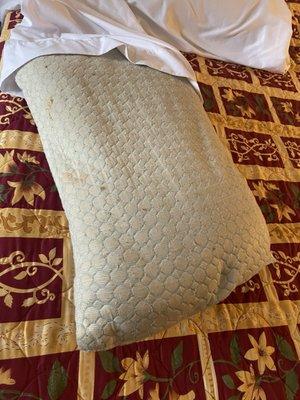 Pillow with lots of germs and filth. Would you sleep on this?