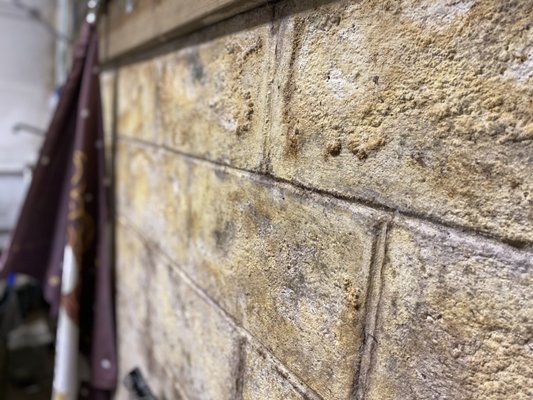 Mold growing on cinder block