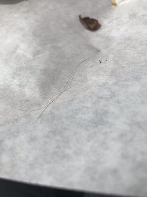 Hairs found in my sandwich