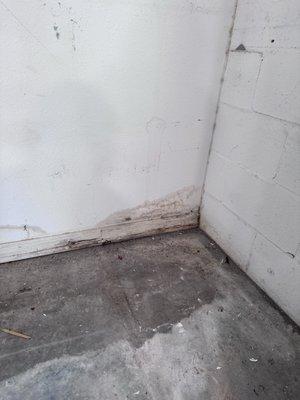 Mold and water marks garage