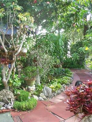 tropical garden to enjoy