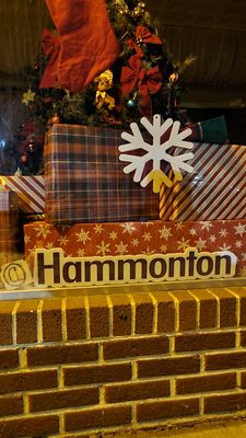 @Hammonton downtown during the holidays!