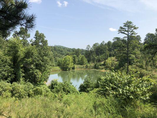 View of clear water pond from Cabin 4 the best cabin for romantic couples