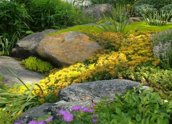 Beautiful Rock Garden