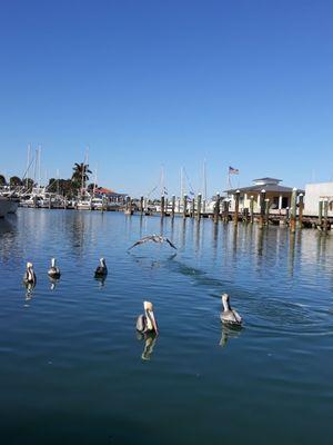 Ft Pierce Inlet Marina