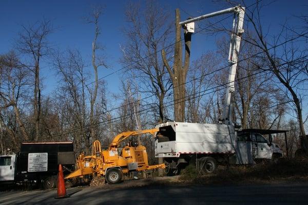 " Tree Work Done Right "