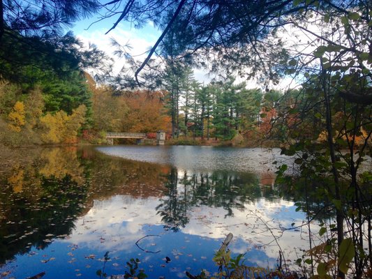 Trail in the fall!